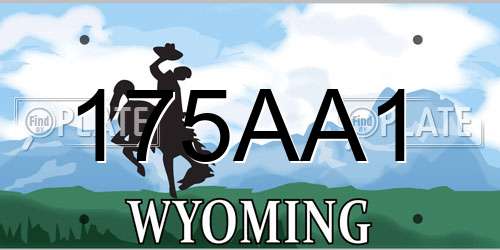 175AA1 Wyoming License Plate