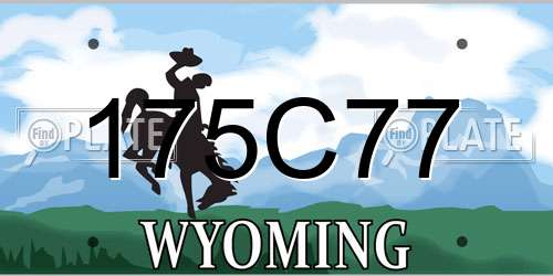 175C77 Wyoming License Plate