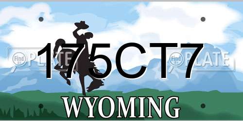 175CT7 Wyoming License Plate