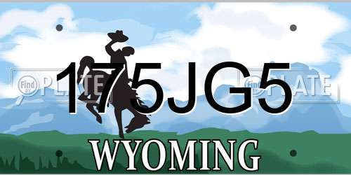 175JG5 Wyoming License Plate