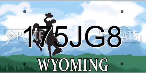 175JG8 Wyoming License Plate