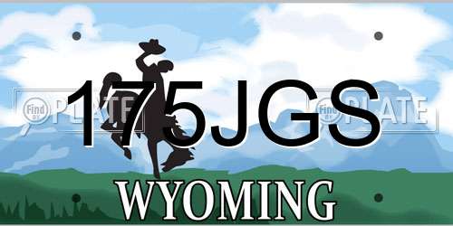 175JGS Wyoming License Plate