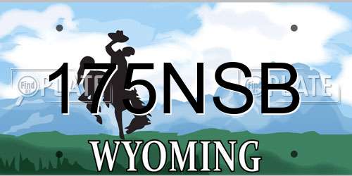 175NSB Wyoming License Plate
