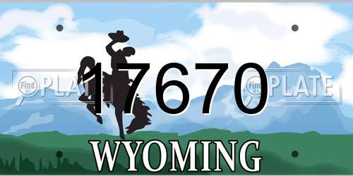17670 Wyoming License Plate