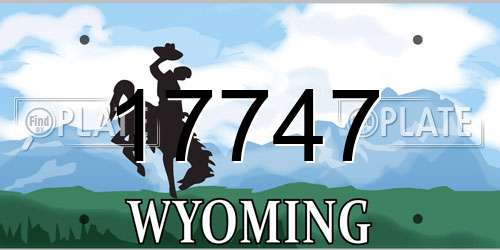 17747 Wyoming License Plate