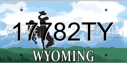 17782TY Wyoming License Plate