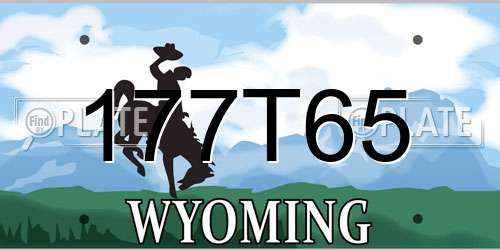 177T65 Wyoming License Plate