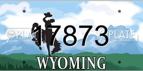 17873 Wyoming License Plate
