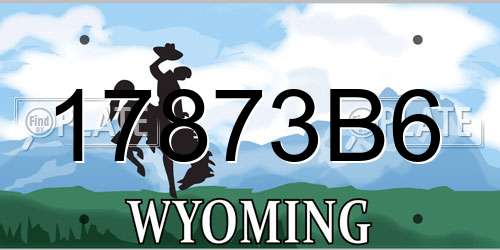 17873B6 Wyoming License Plate