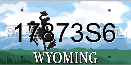17873S6 Wyoming License Plate