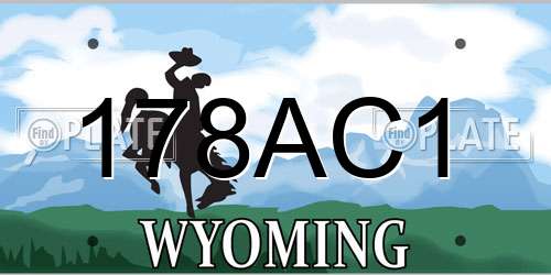 178AC1 Wyoming License Plate