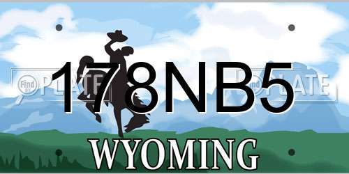 178NB5 Wyoming License Plate