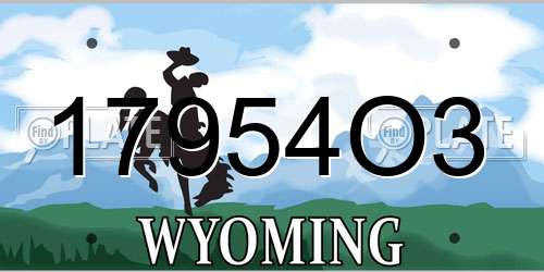 17954O3 Wyoming License Plate