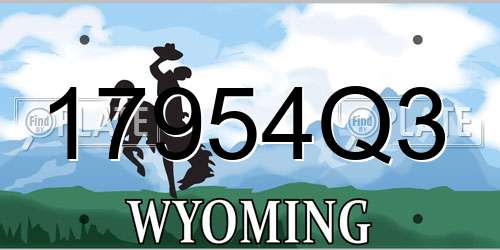 17954Q3 Wyoming License Plate