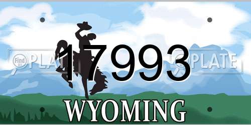 17993 Wyoming License Plate