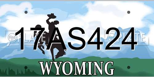 17AS424 Wyoming License Plate