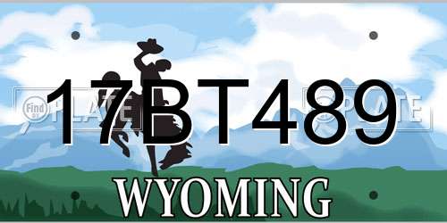 17BT489 Wyoming License Plate