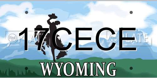 17CECE Wyoming License Plate