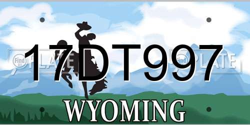 17DT997 Wyoming License Plate