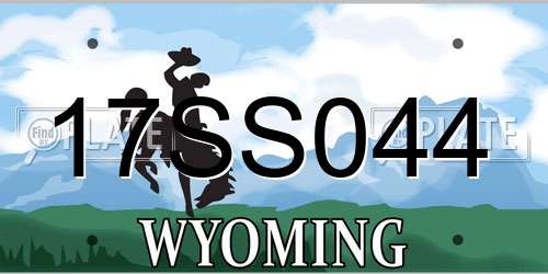 17SS044 Wyoming License Plate