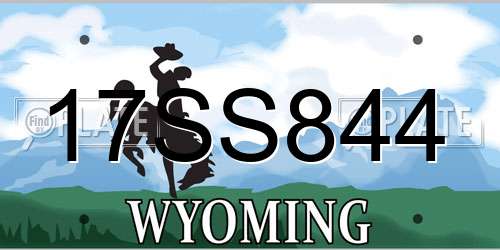 17SS844 Wyoming License Plate