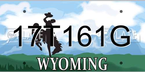 17T161G Wyoming License Plate