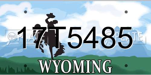 17T5485 Wyoming License Plate