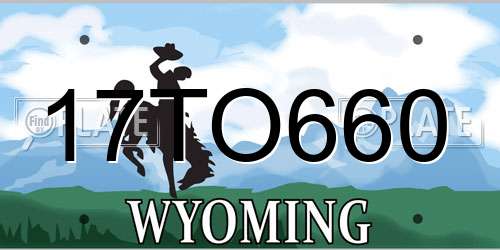 17TO660 Wyoming License Plate