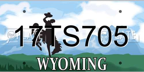 17TS705 Wyoming License Plate