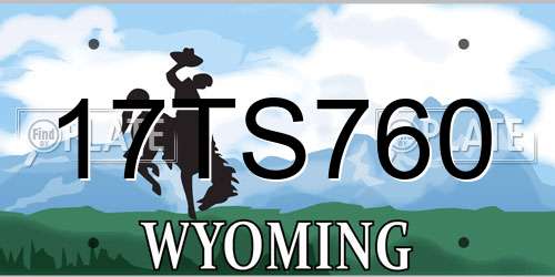 17TS760 Wyoming License Plate