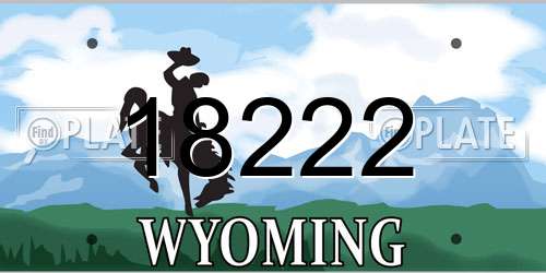 18222 Wyoming License Plate