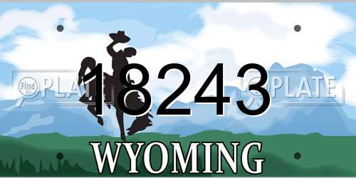 18243 Wyoming License Plate