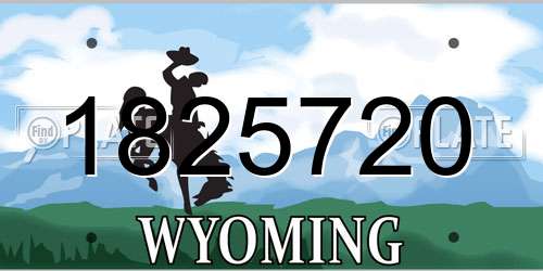 1825720 Wyoming License Plate