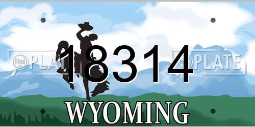 18314 Wyoming License Plate