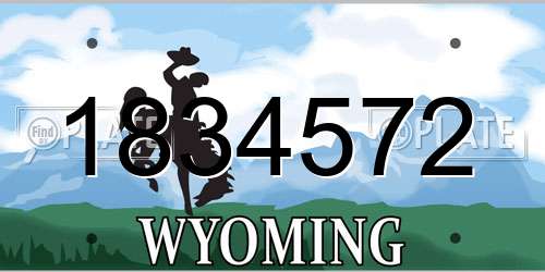 1834572 Wyoming License Plate