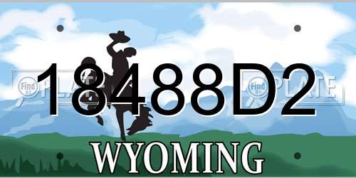 18488D2 Wyoming License Plate
