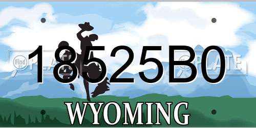 18525B0 Wyoming License Plate