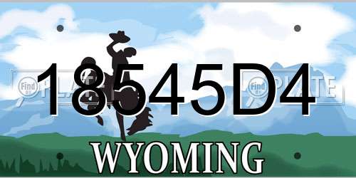 18545D4 Wyoming License Plate