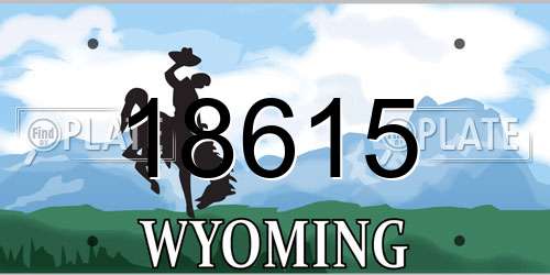 18615 Wyoming License Plate
