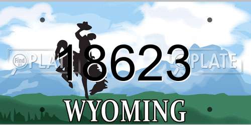 18623 Wyoming License Plate