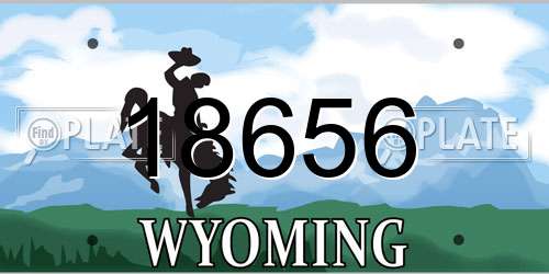 18656 Wyoming License Plate