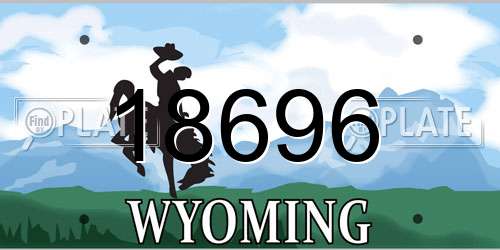 18696 Wyoming License Plate