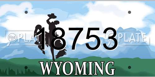 18753 Wyoming License Plate