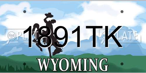 1891TK Wyoming License Plate