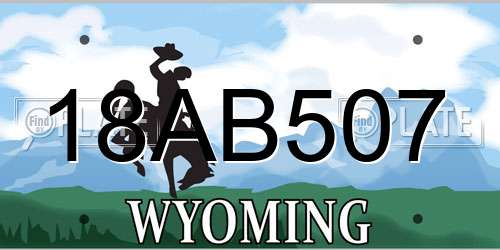 18AB507 Wyoming License Plate