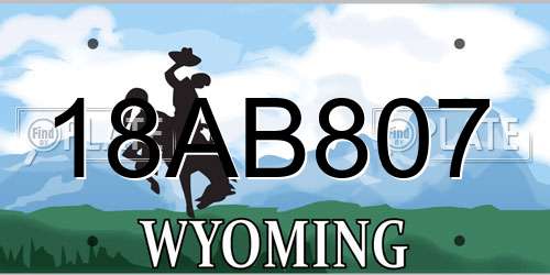 18AB807 Wyoming License Plate