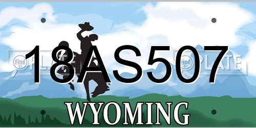 18AS507 Wyoming License Plate