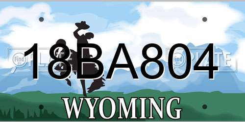 18BA804 Wyoming License Plate