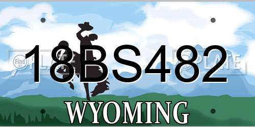 18BS482 Wyoming License Plate