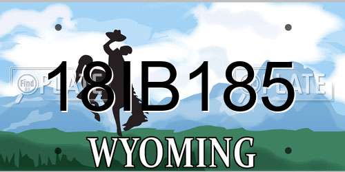 18IB185 Wyoming License Plate